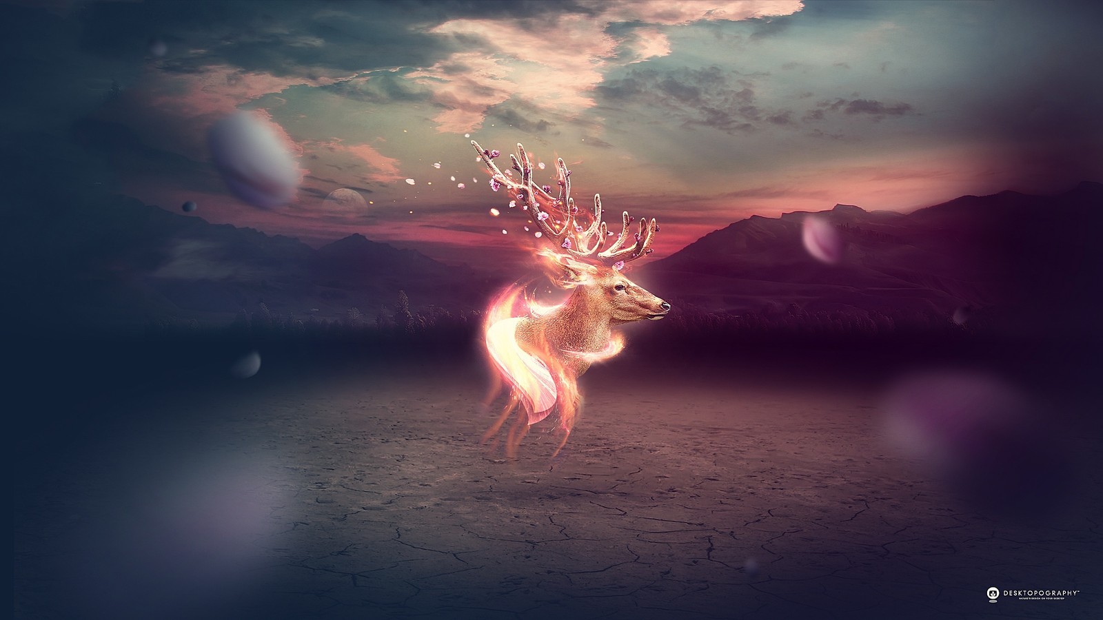 deer, atmosphere, darkness, space, sky Download Wallpaper