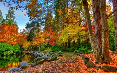 Herbstliche Gelassenheit: Lebendige Blätter und Ruhige Reflexionen im Naturschutzgebiet