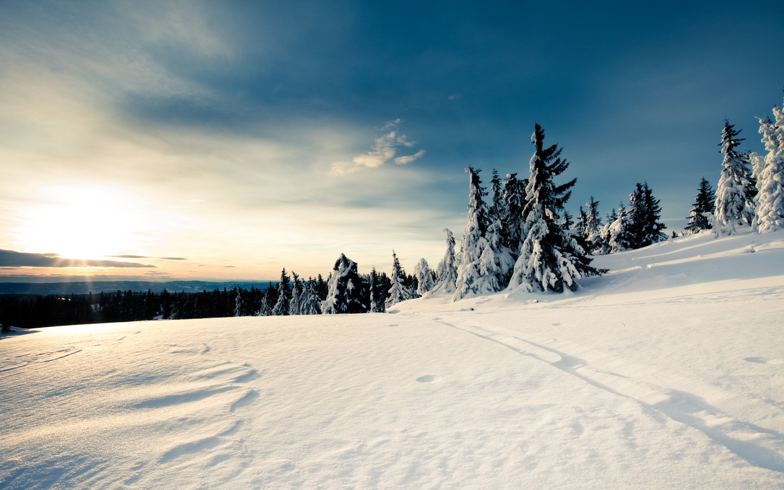 Vista aérea de uma montanha nevada com árvores e um sol (inverno, neve, nuvem, árvore, congelamento)