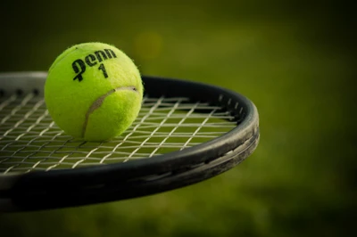 теннис, tennis, теннисный мяч, мяч, аксессуар для теннисной ракетки