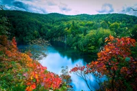 Reflets vibrants d'automne dans un lac forestier serein