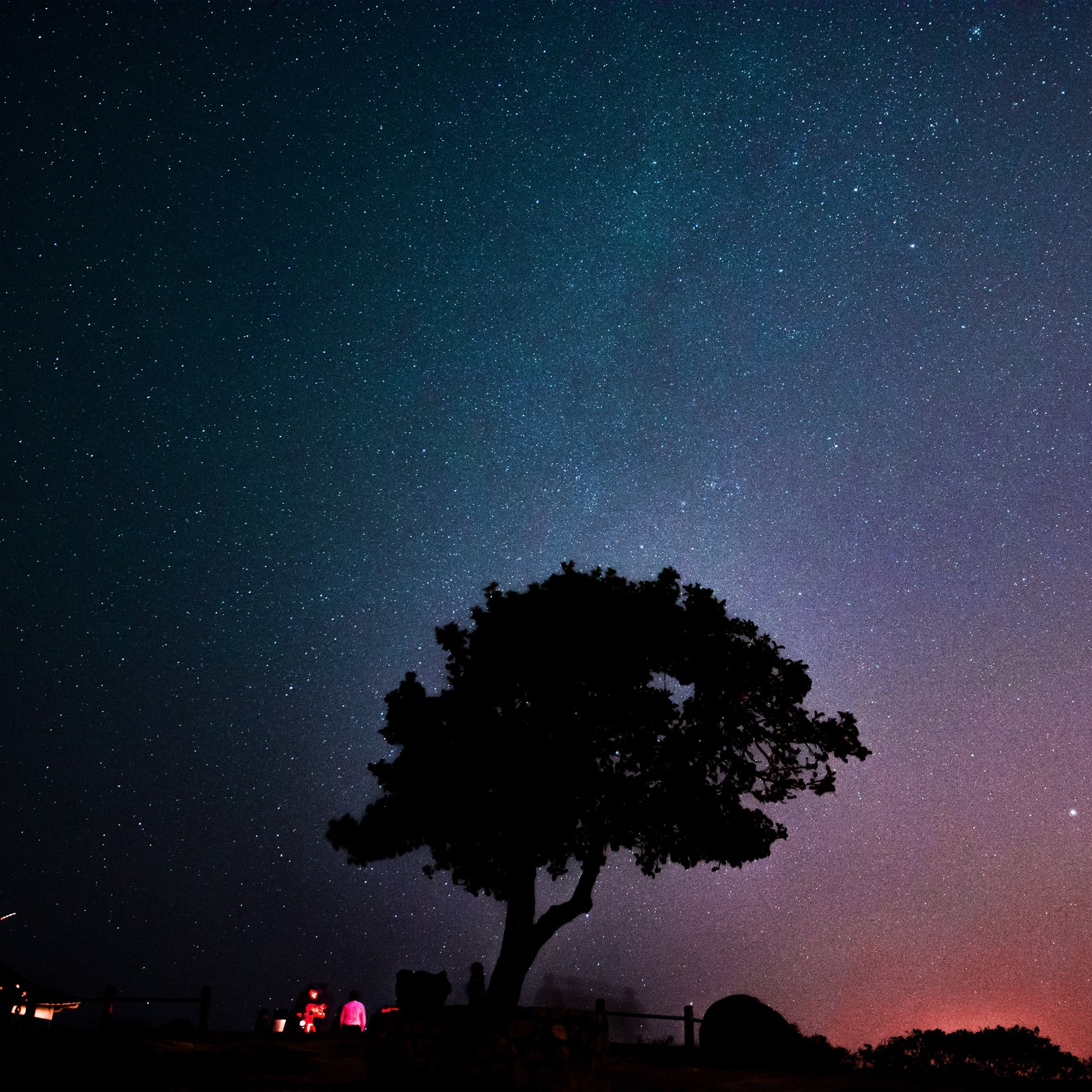 Starry sky with a tree and a car in the foreground (sunset, atmosphere, world, light, green)