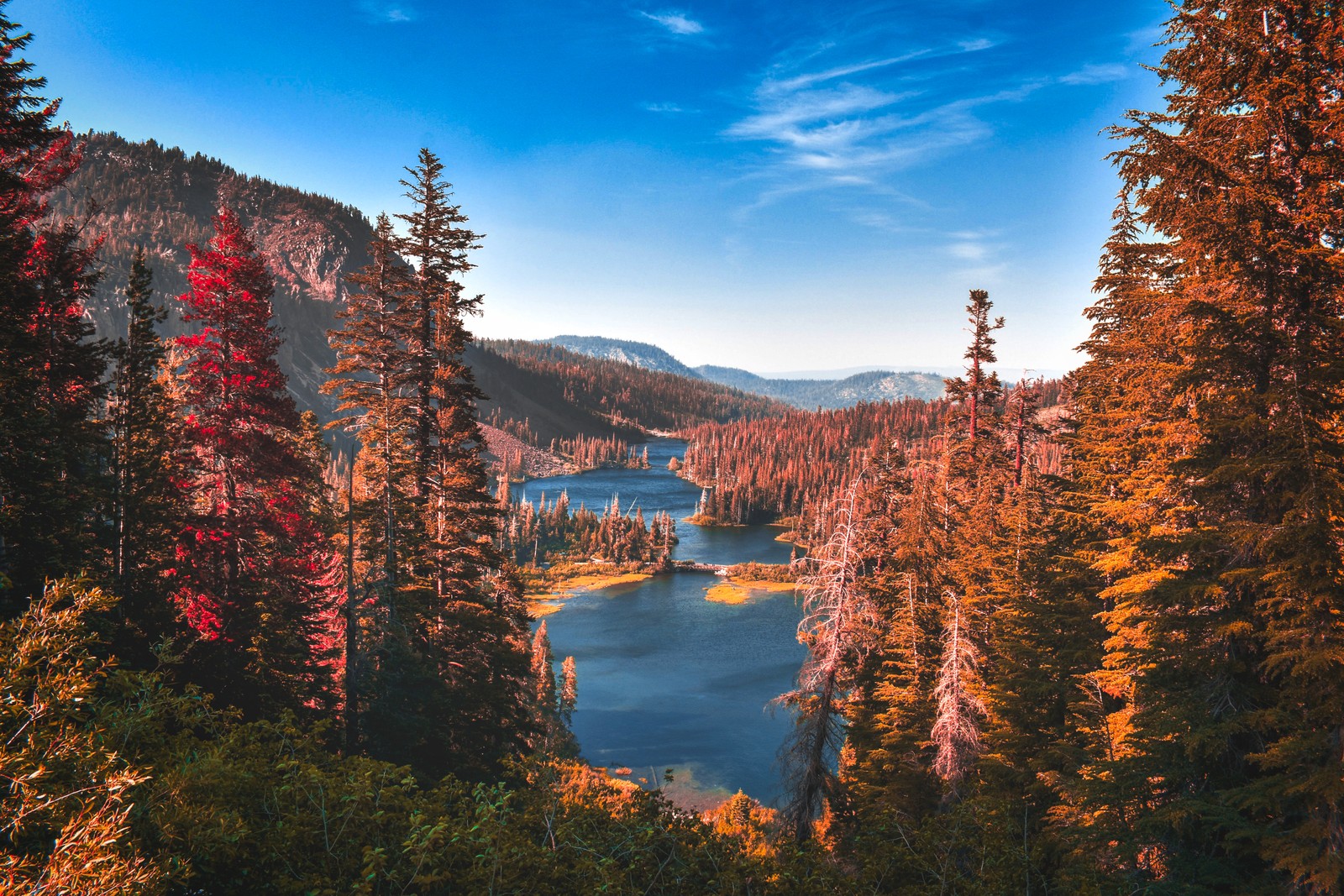 A lake surrounded by trees in the middle of a forest (yosemite national park, river, forest, autumn, scenery)