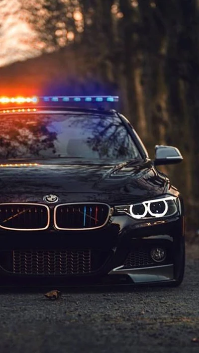 bmw, coche, policía