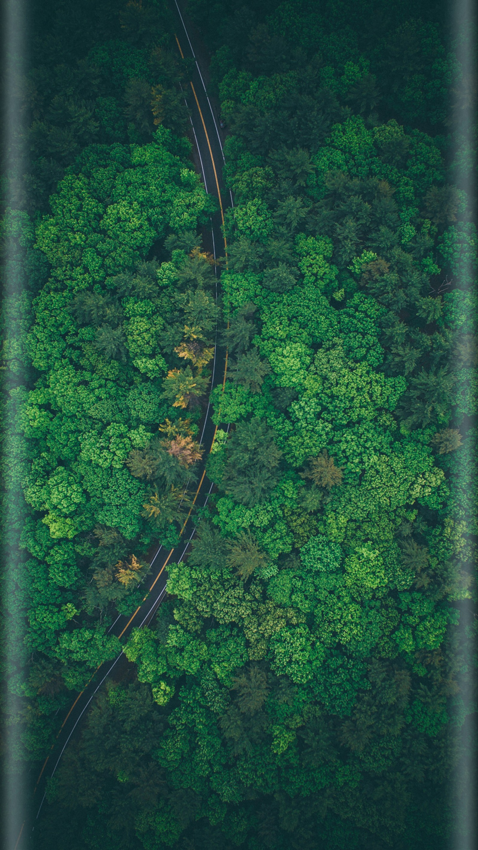 Aerial view of a train track running through a lush green forest (beauty nature, edge style, forest, green, s7)