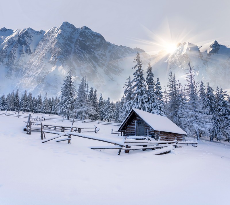 Uma vista de uma cabana na neve com montanhas ao fundo (floresta, cabana, montanhas, neve, sol)