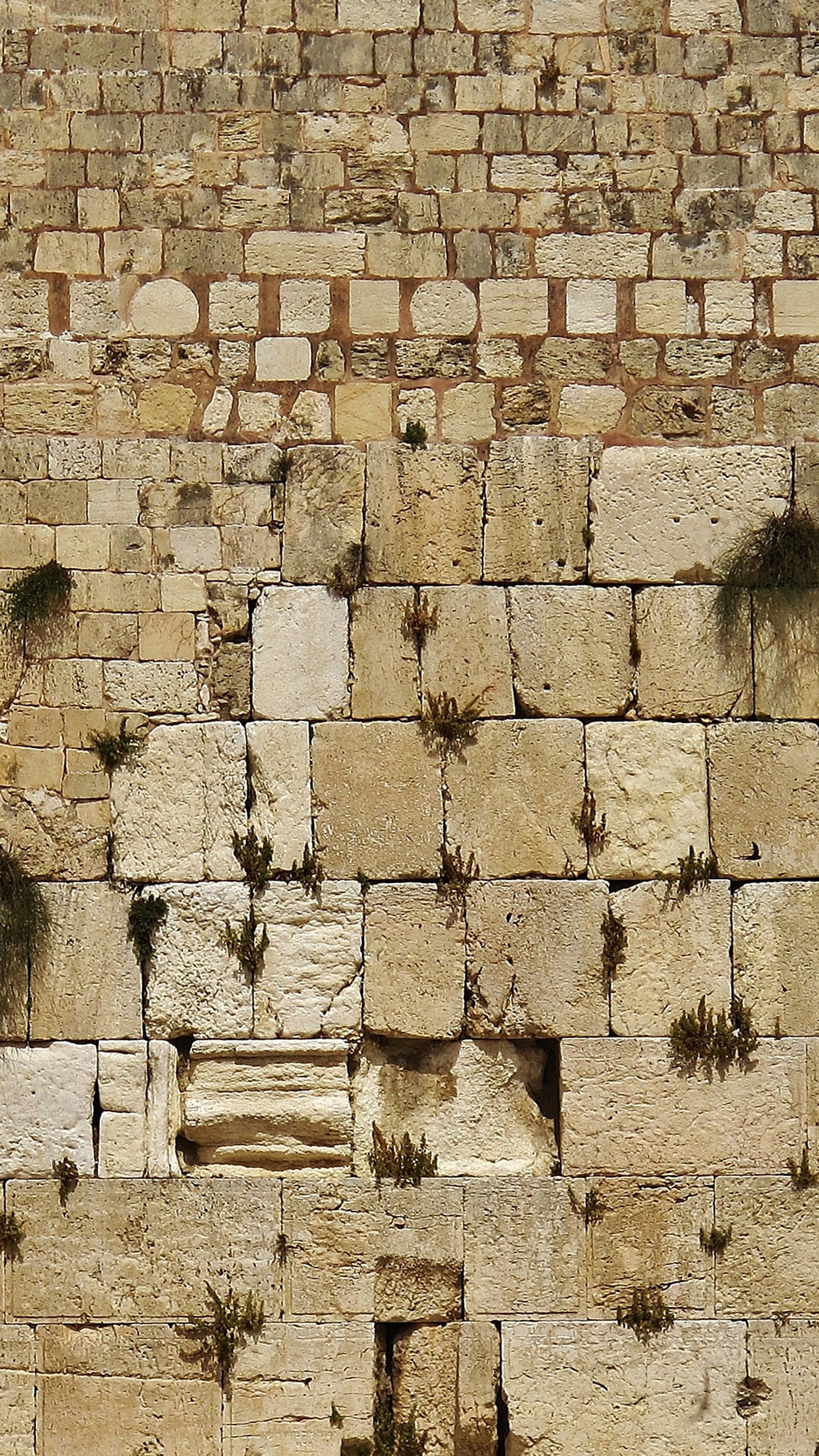 Hay un hombre de pie frente a una pared de piedra (ladrillo, israel, judío, jew, pared)