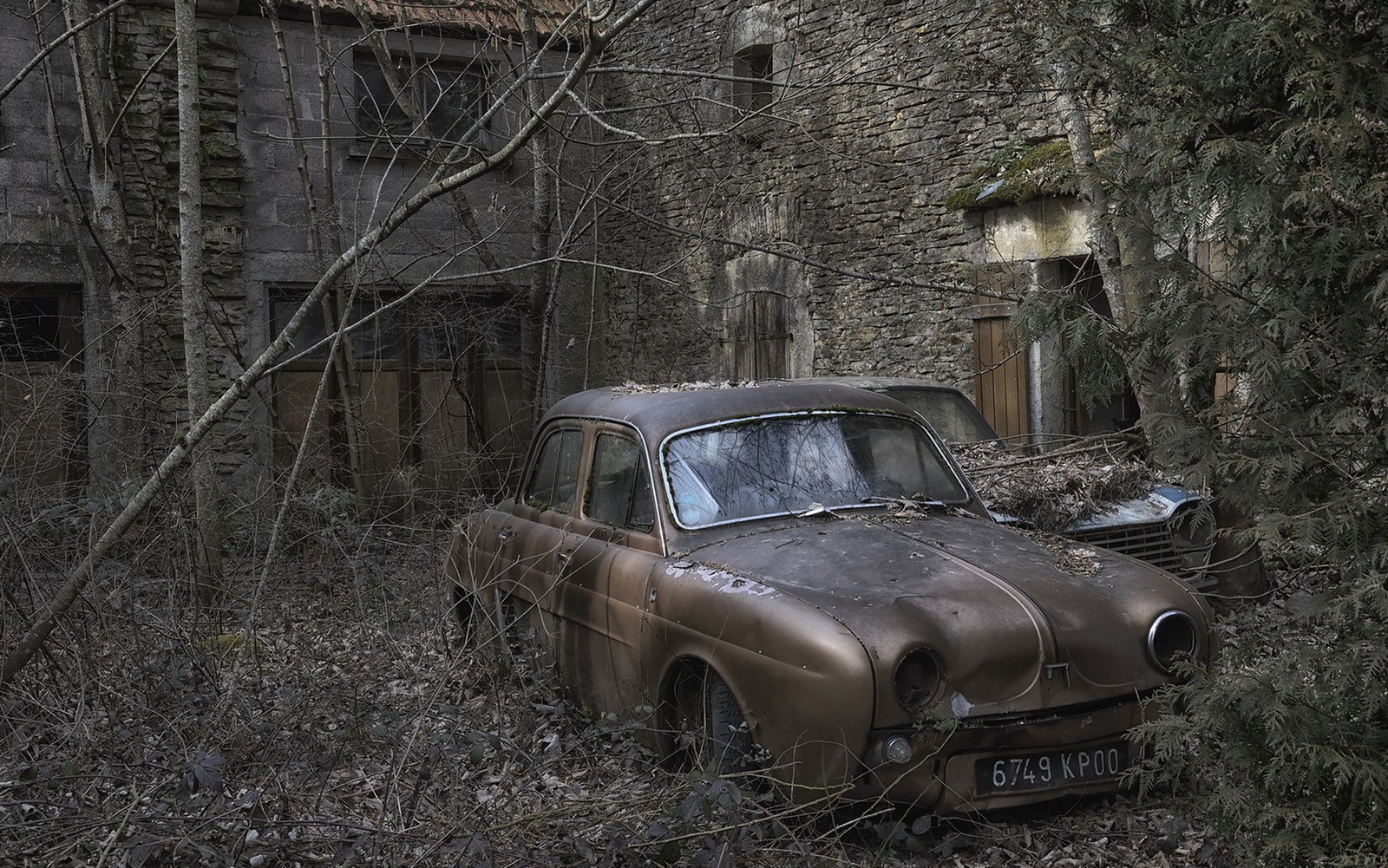 Une vieille voiture est garée dans les bois près d'un bâtiment (chevrolet impala, voiture, chevrolet camaro, chevrolet, voiture compacte)