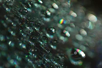 Close-up de gotas de água bokeh com brilhos turquesa e verde