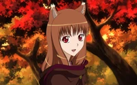 spice and wolf, lobo cinza