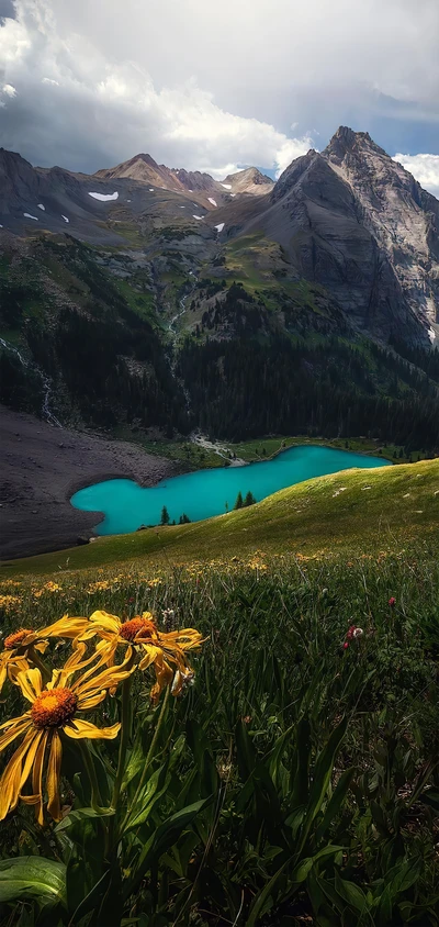 природа, вода, растение, гора, водные ресурсы