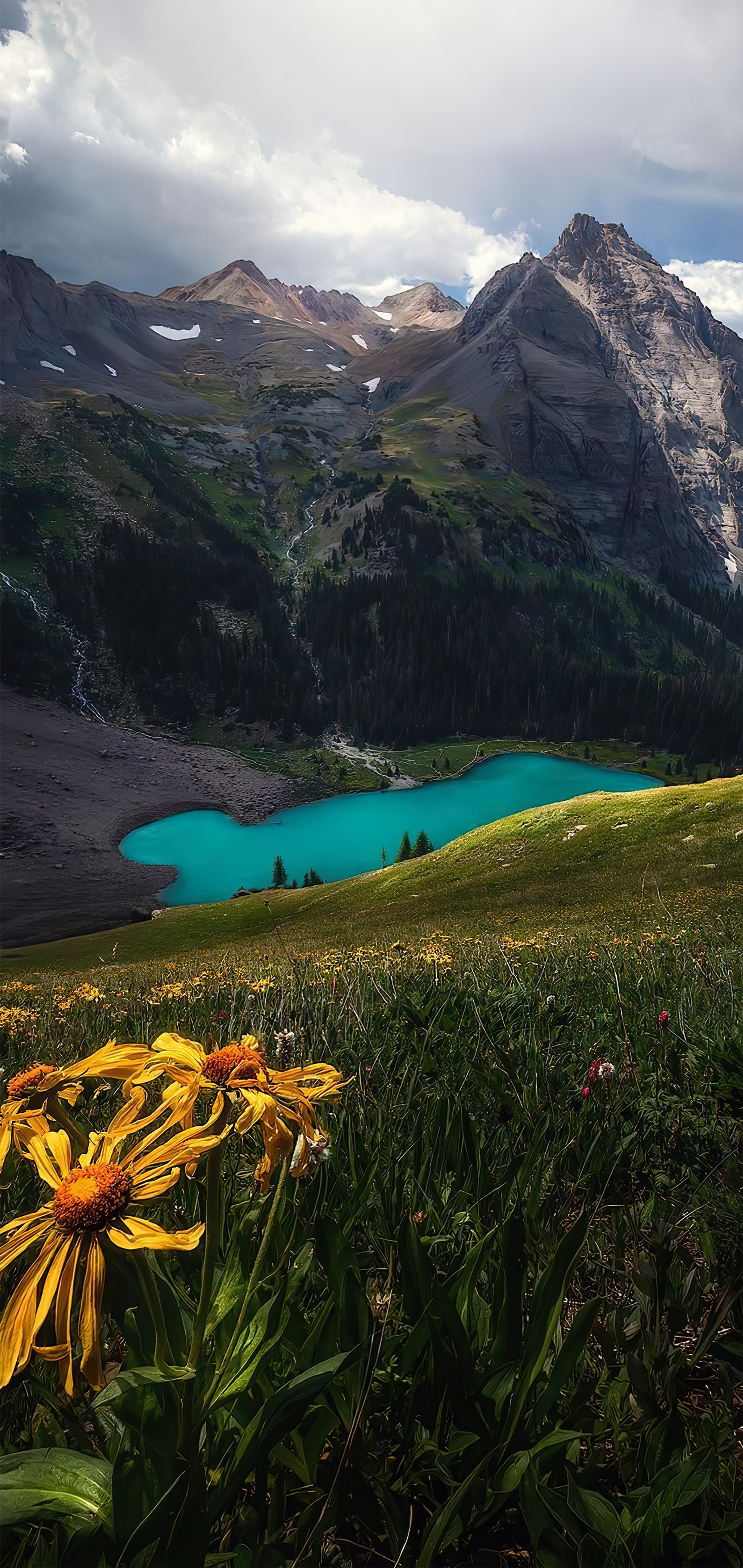 Há um campo de flores na frente de uma montanha com um lago (natureza, água, planta, montanha, recursos hídricos)