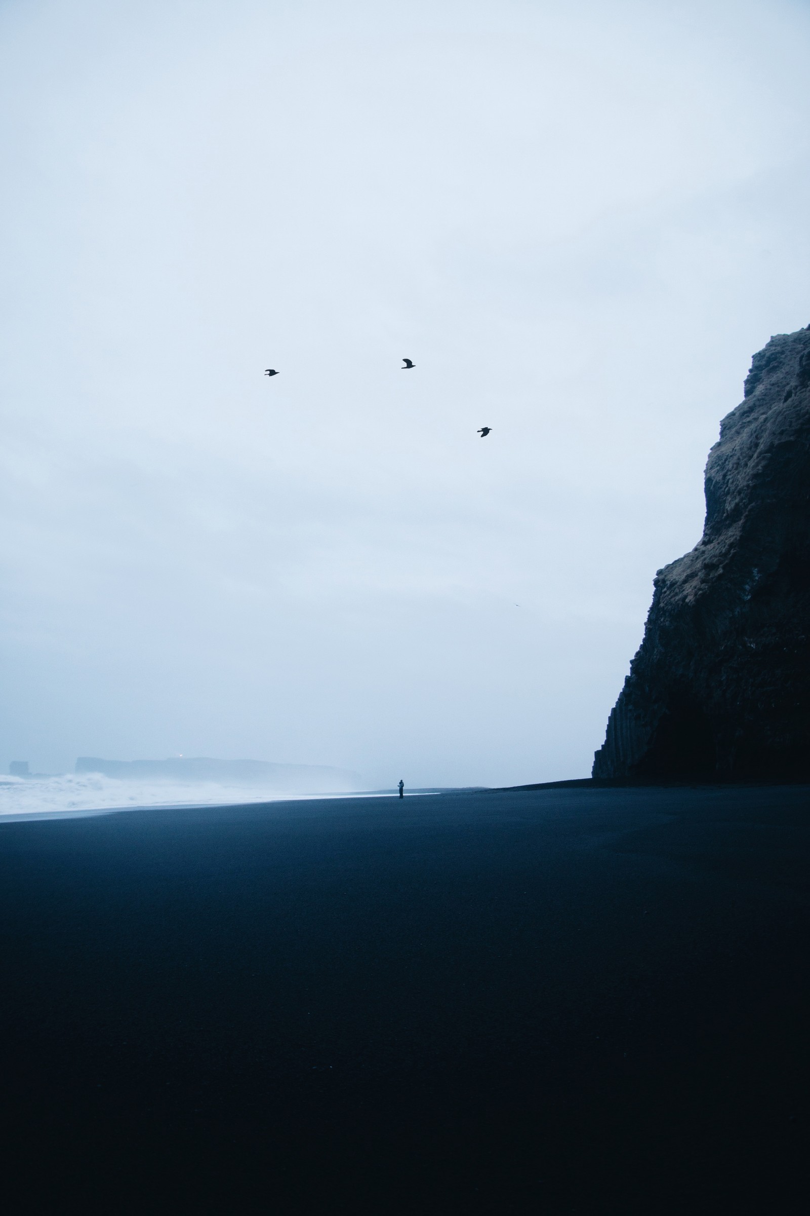 There are two birds flying over a beach with a cliff in the background (sea, horizon, ocean, cliff, coast)