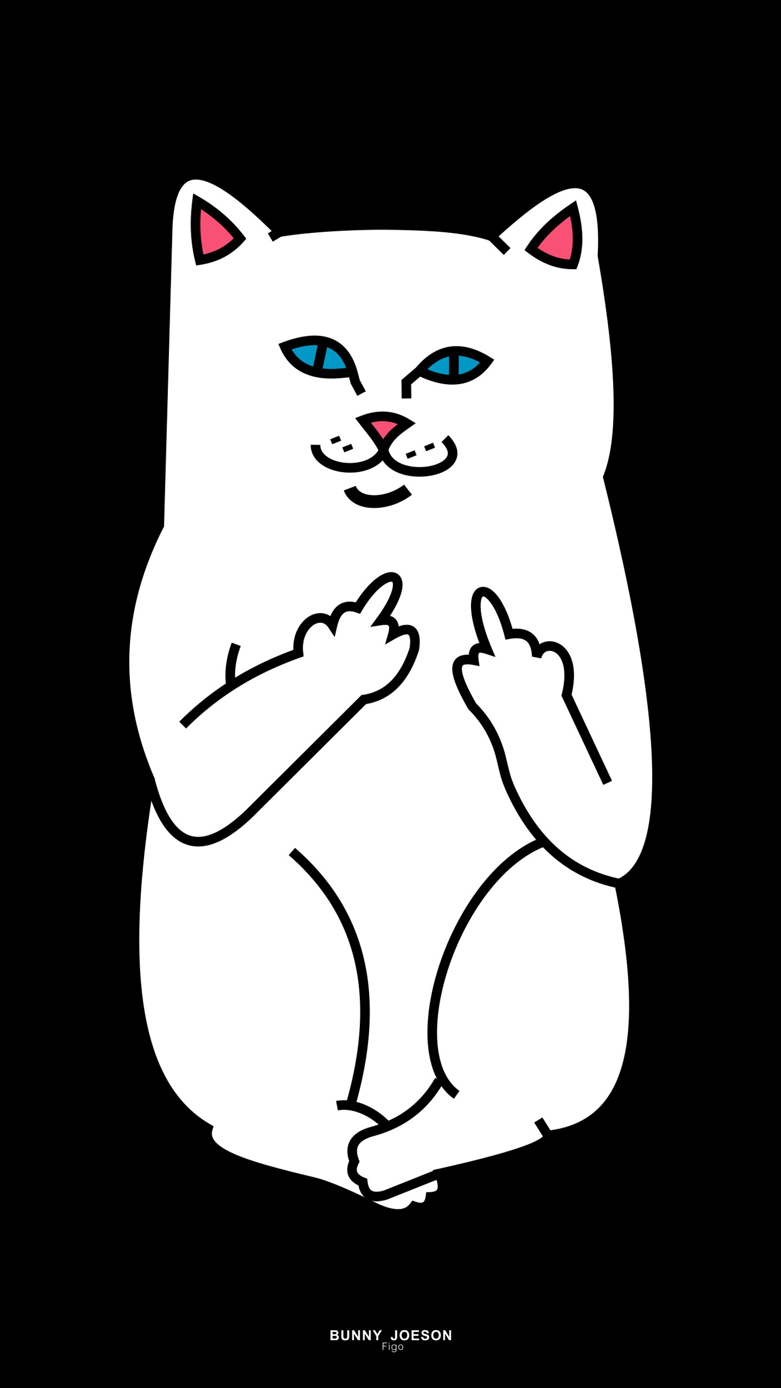 A close up of a white cat with blue eyes and a black background (cat, ripndip cat)