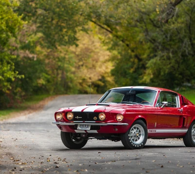 carro, carros, ford, ford mustang, carro muscle