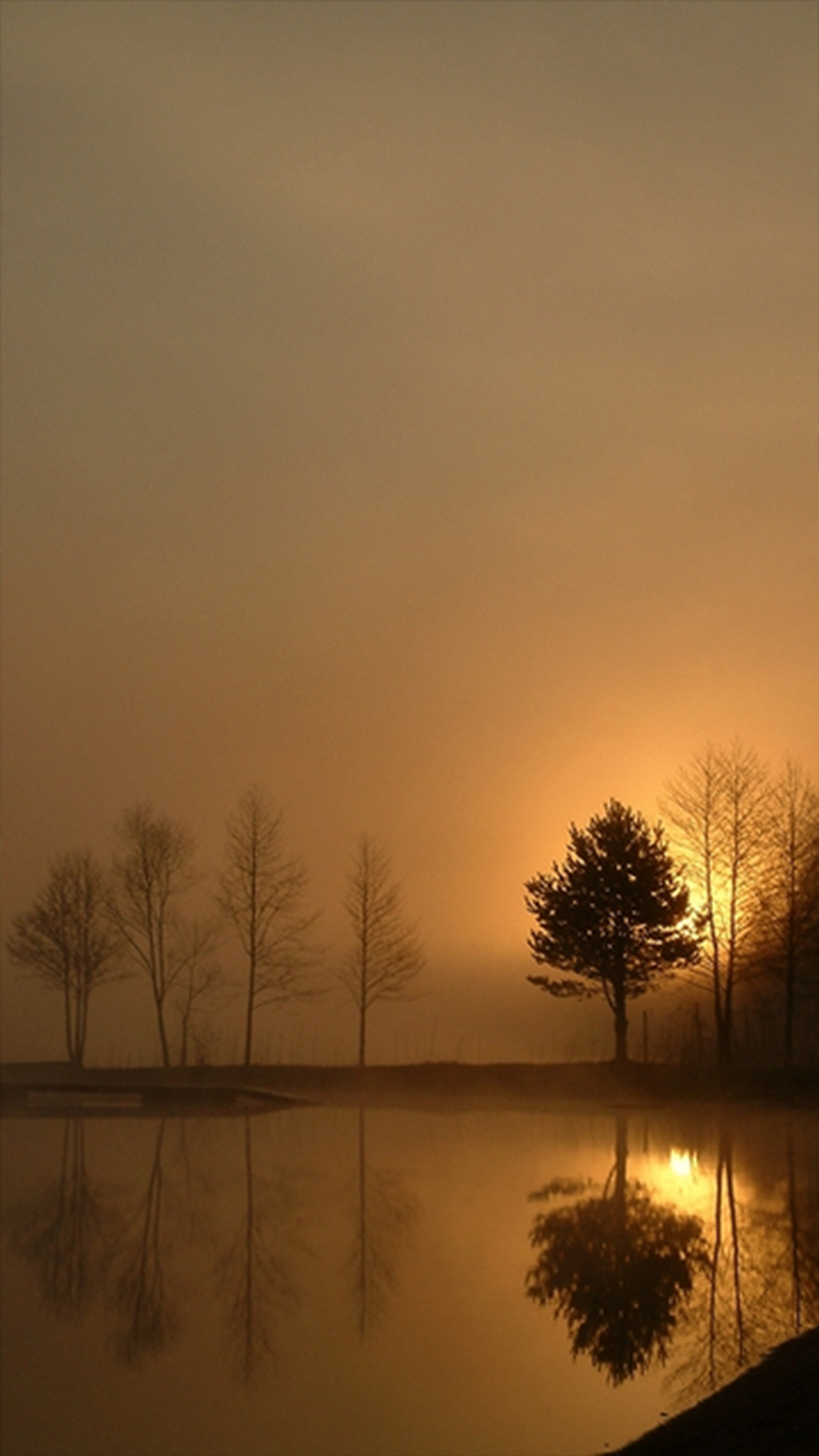 Los árboles están silueteados contra el sol que se pone sobre un lago (atardecer, árbol)