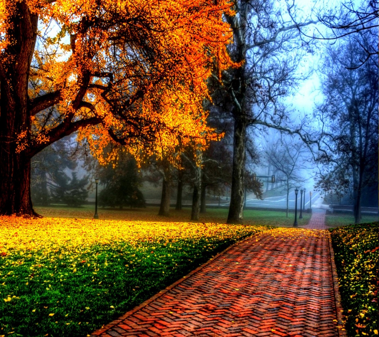 Gros plan d'un chemin en briques dans un parc avec des arbres (beau, nuages, coloré, nature, saisons)