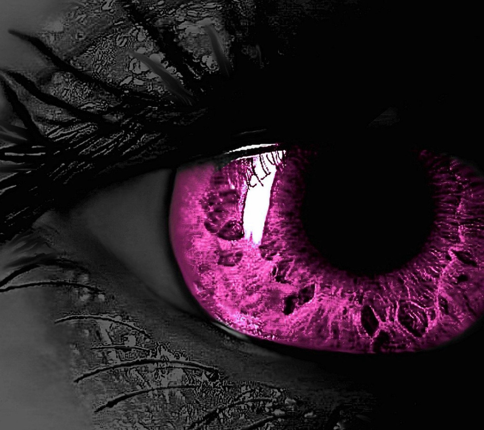 Purple eye with black background (art, color, colorful, cool, design)