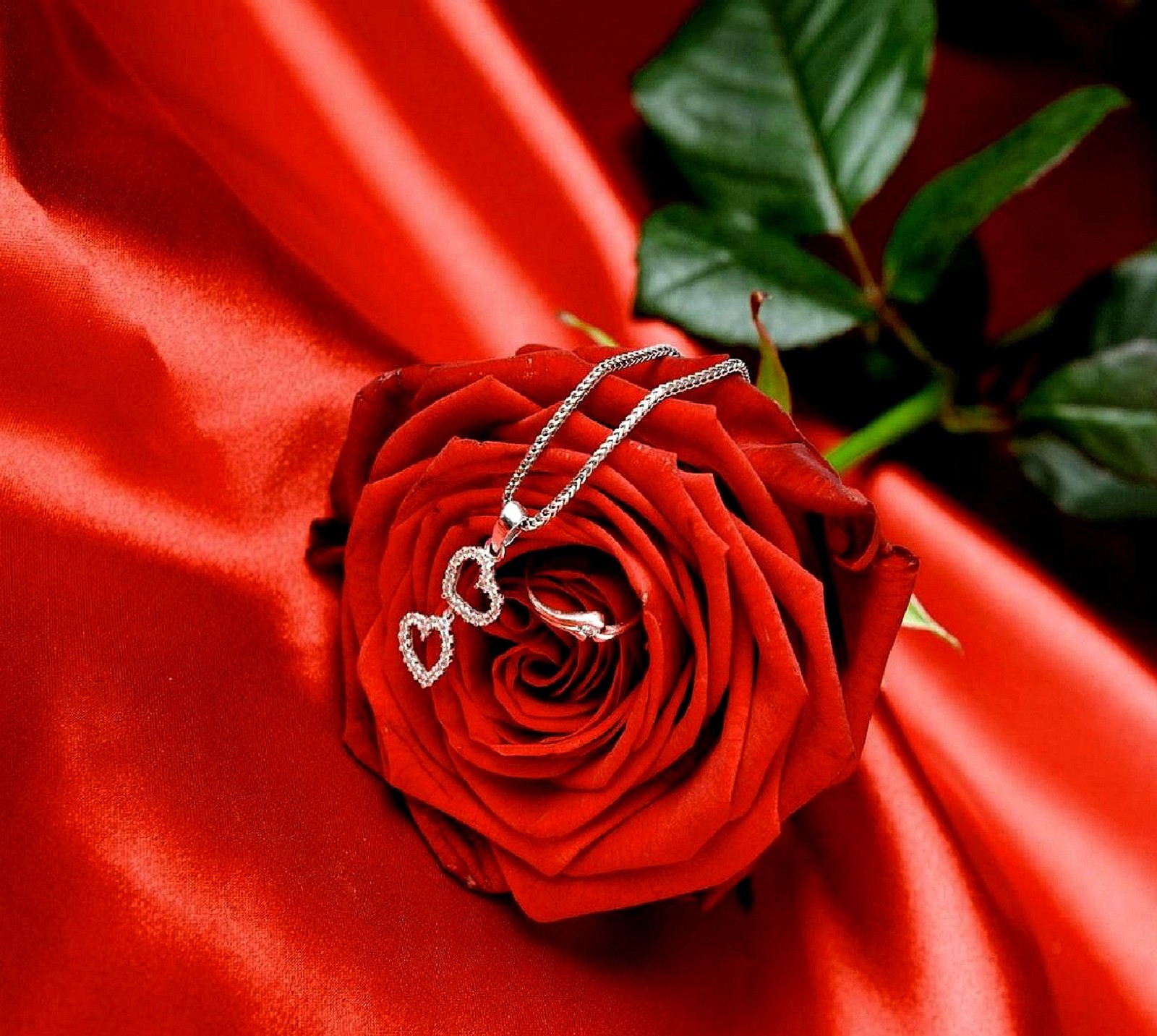 There is a red rose with a silver chain on it (symbol love)