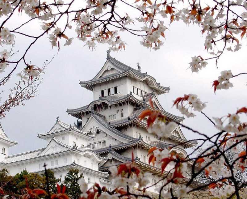 Arafed view of a castle with a lot of white flowers (bloom, bridge, castle, cherry, japan)