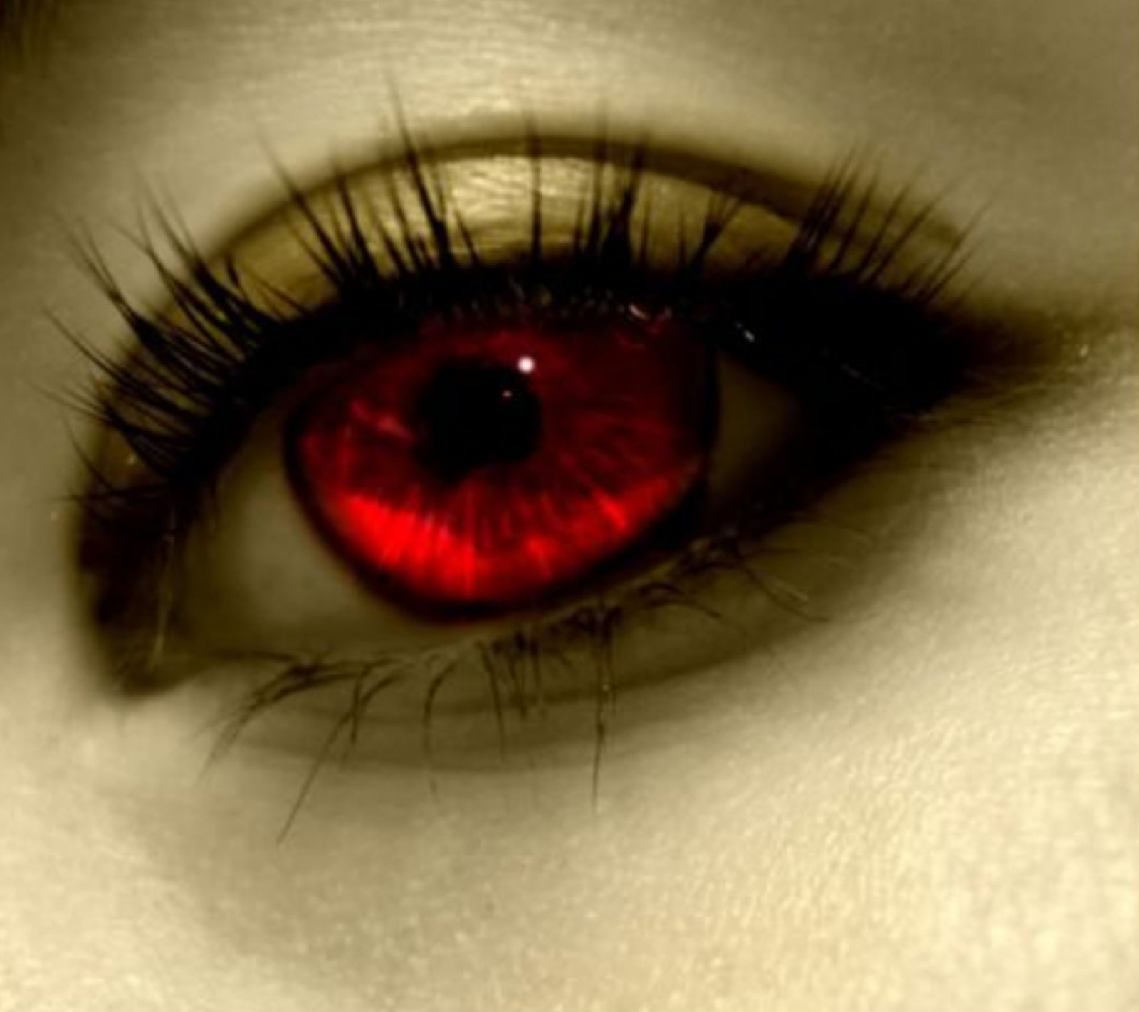 auge, eye, red, rot wallpaper