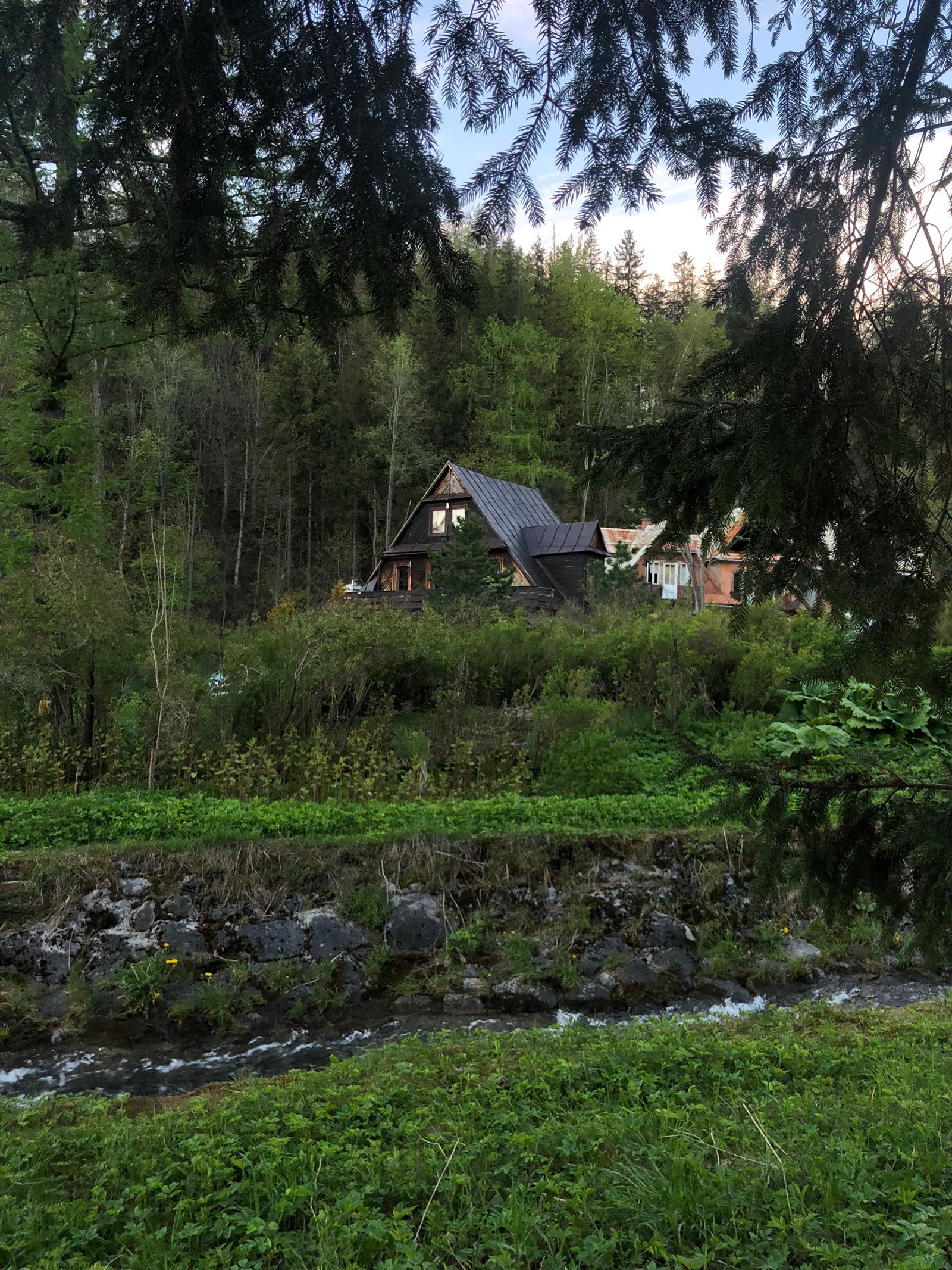 Il y a une petite maison au milieu d'une forêt (végétation, biome, plante, terrain, maison)