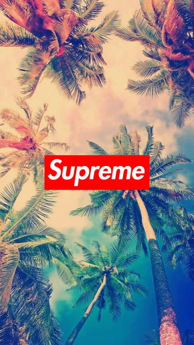 praia, marcas, logotipos, natureza, supreme