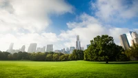 Prado vibrante do Central Park com horizonte urbano e nuvens