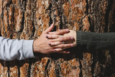 Mãos abraçando a natureza: um símbolo de amor e conexão