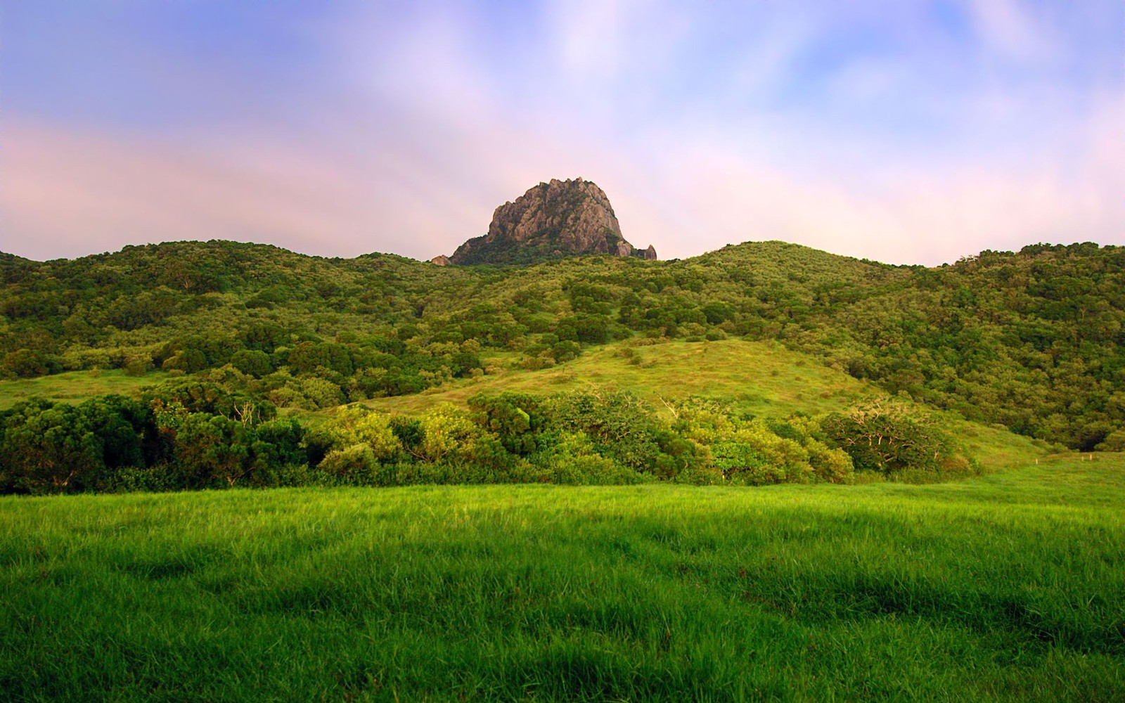 Um campo gramado com uma montanha ao fundo (terras altas, formas montanhosas, colina, pradaria, natureza)