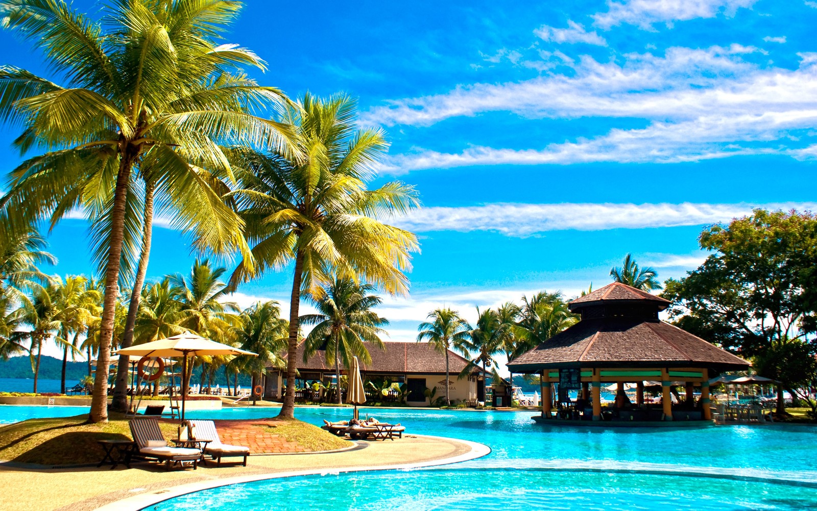 Vista aérea de uma piscina de resort com espreguiçadeiras e palmeiras (piscina, quarto, praia, estância, férias)