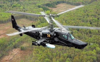 Hélicoptère d'attaque Kamov Ka-52 en vol au-dessus d'un paysage forestier dense