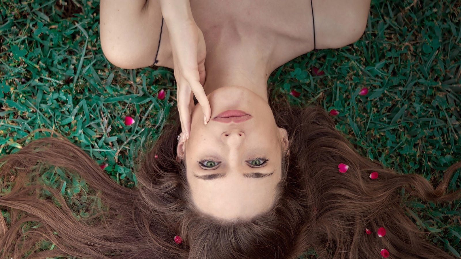 Une femme allongée dans l'herbe avec ses cheveux au vent. (beauté, nez, joue, peau, lèvre)