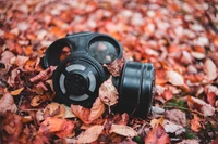 Herbstblätter und eine Gasmaske: Ein Kontrast zwischen Natur und Schutz