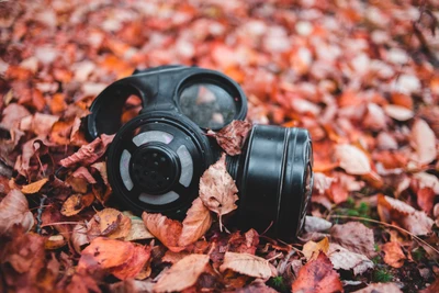 Autumn Leaves and a Gas Mask: A Contrast of Nature and Protection