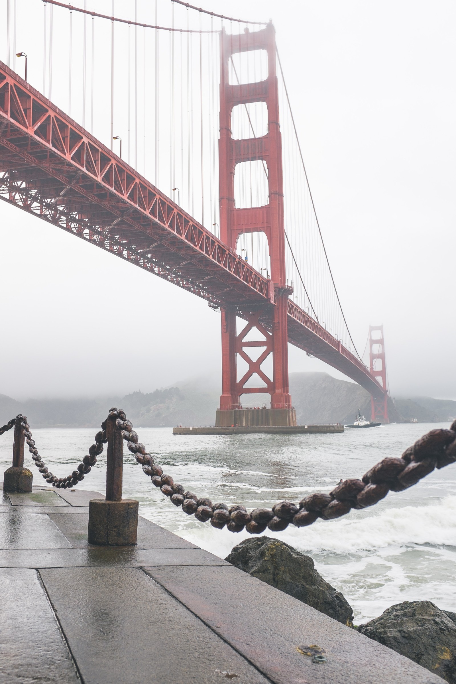 Жирафы стоят на пирсе с видом на мост золотые ворота (мост золотые ворота, golden gate bridge, мост, подвесной мост, вантовый мост)