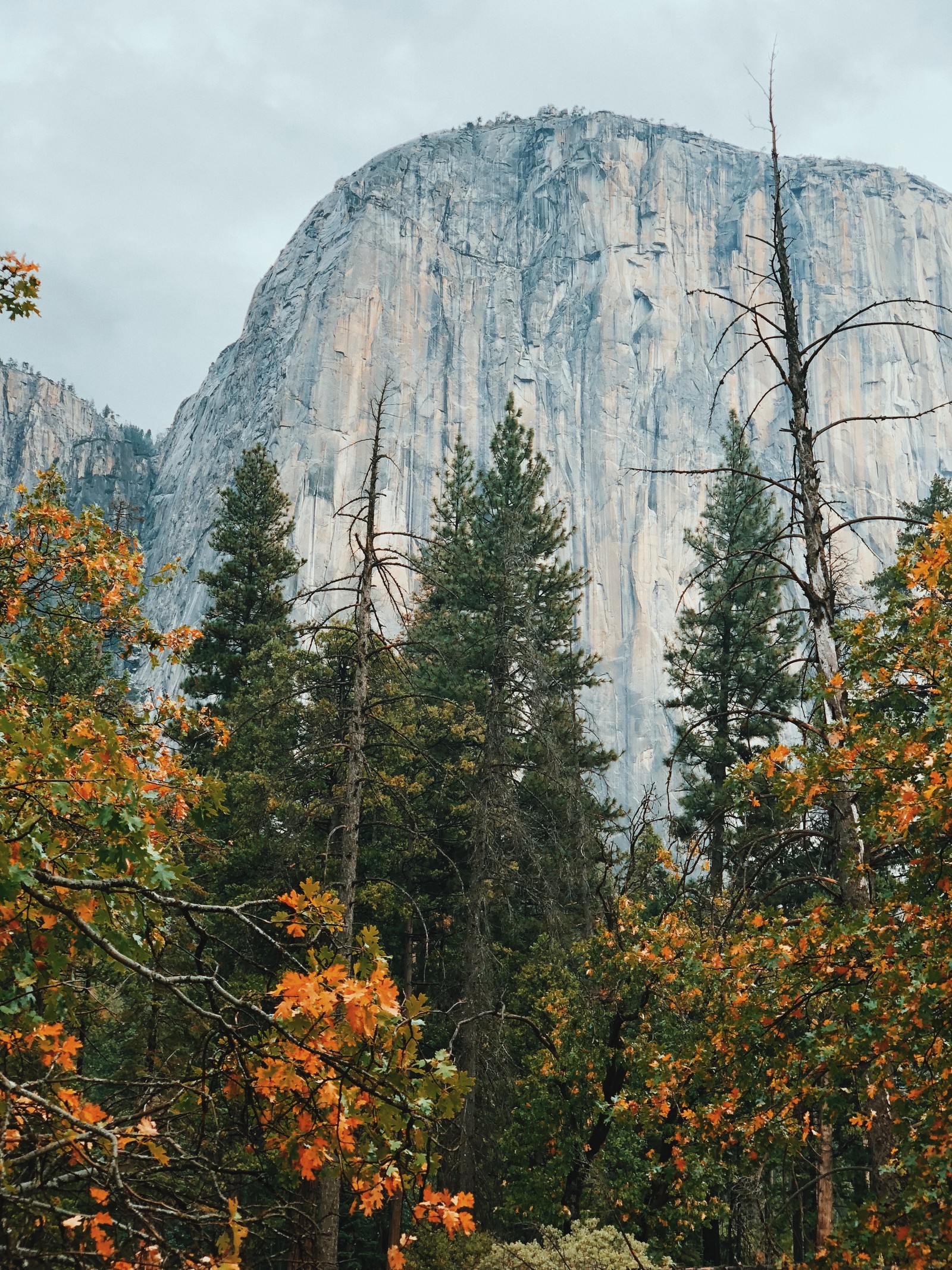 Descargar fondo de pantalla california, ee uu, usa, valle de yosemite, yosemite valley