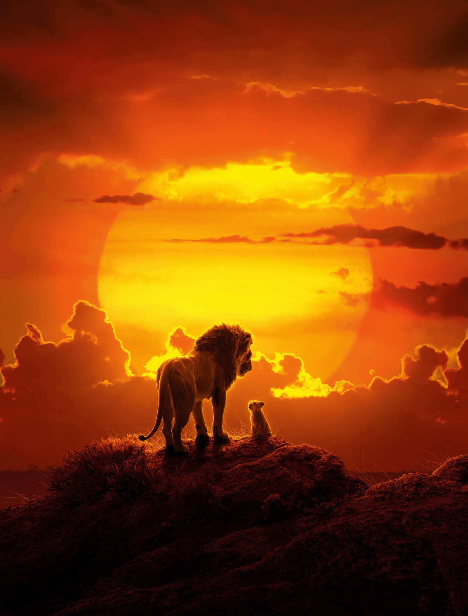 the lion king, simba, mufasa, lion cub, animation wallpaper