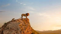 Mufasa und Simba auf dem Königsfelsen bei Sonnenuntergang