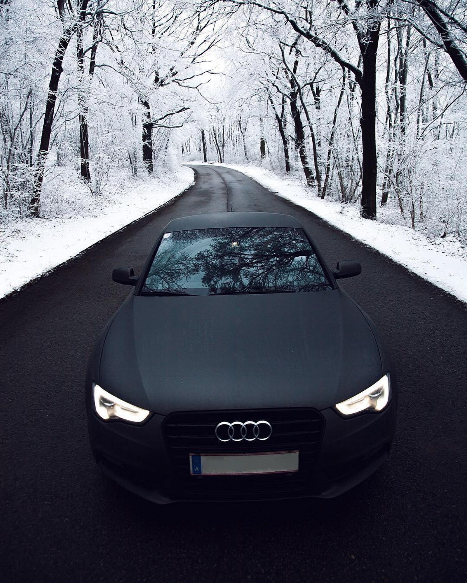 Une audi noire garée sur une route enneigée dans les bois (2018, audi, voiture, voitures, hd)