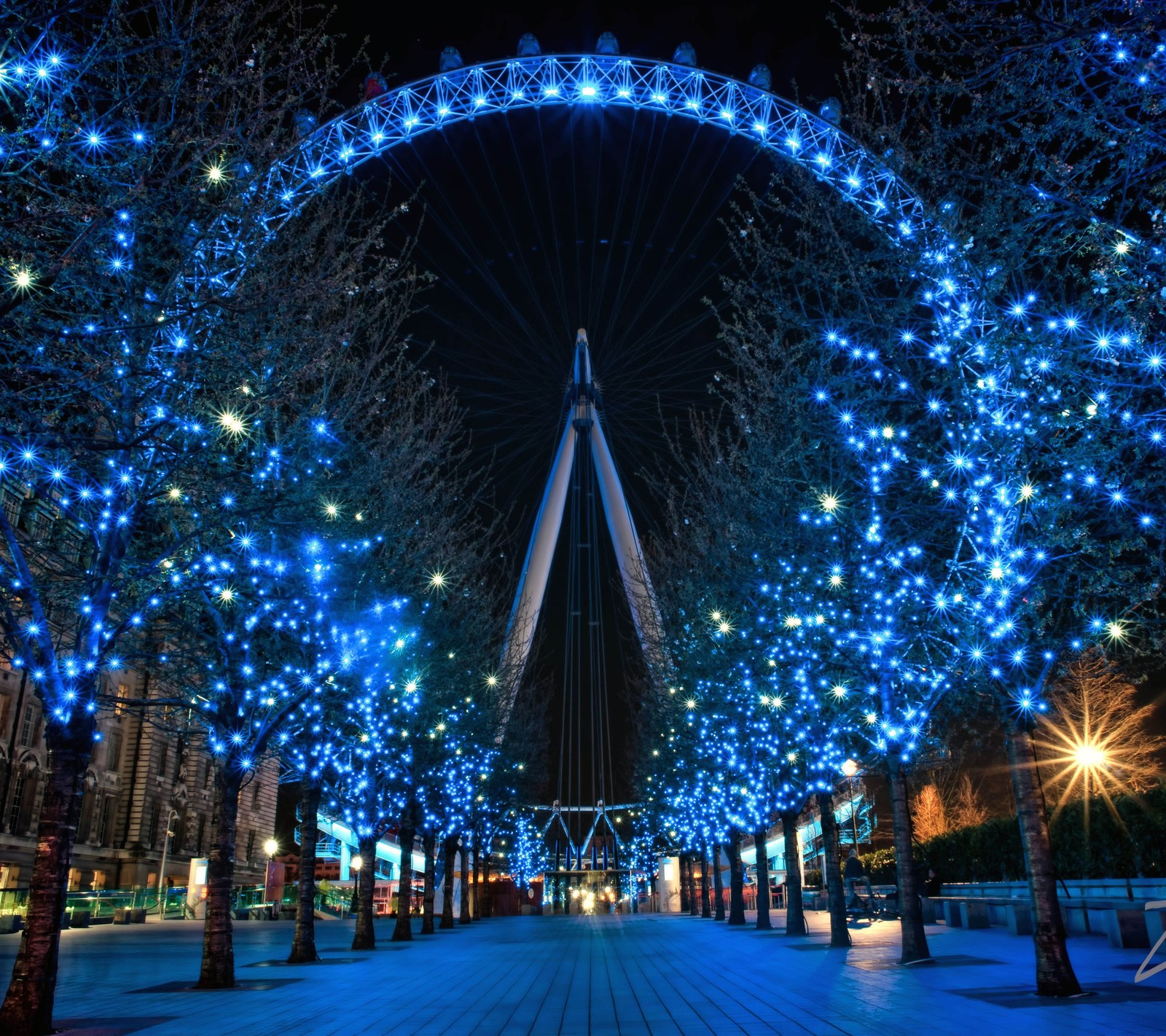 Ein großes riesenrad mit blauen lichtern in der mitte eines parks (großbritannien, weihnachten, england, lichter, london)