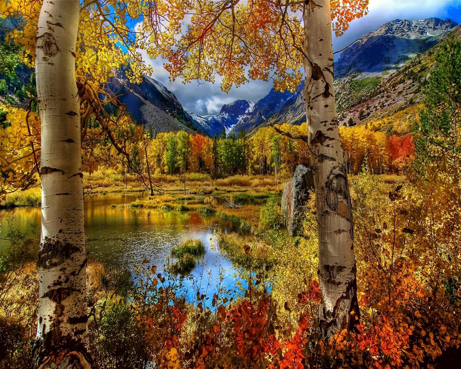 A view of a lake surrounded by trees with mountains in the background (fallen, lake, leaves)