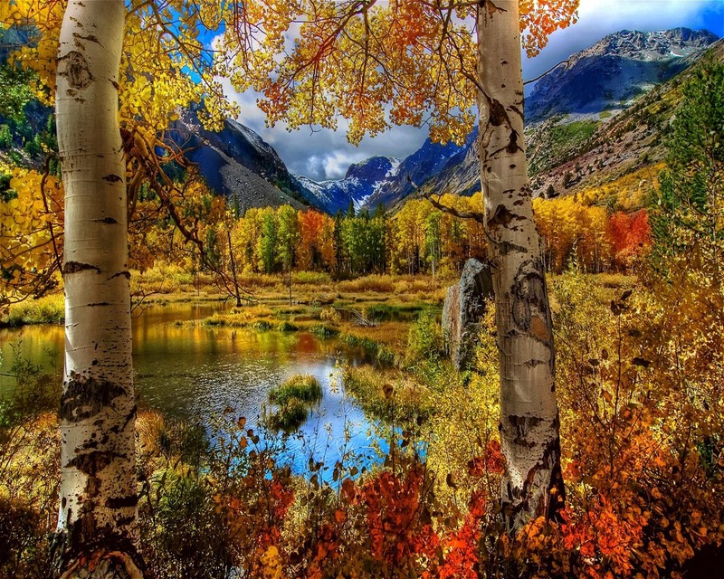 Vue d'un lac entouré d'arbres avec des montagnes en arrière-plan (tombé, lac, feuilles)