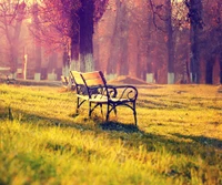 autumn, bench, park