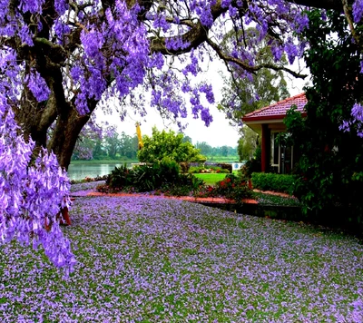 Flores roxas vibrantes cobrindo uma paisagem de primavera.