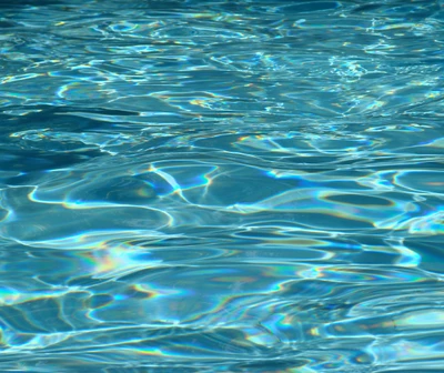 Tranquil Blue Water Reflections in Summer Light