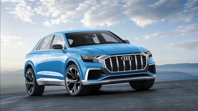 Audi Q8 : Un SUV familial élégant présenté au salon de l'automobile