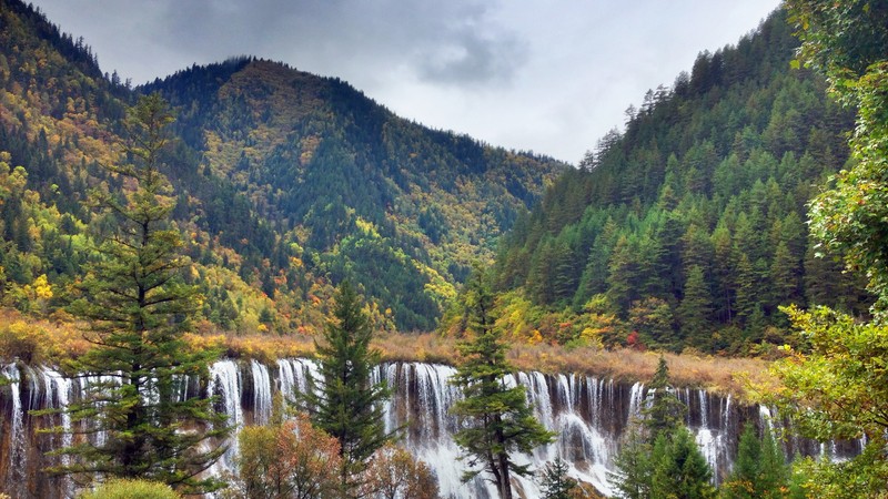 Вид на водопад посреди леса (гигантская панда, природа, дикая природа, заповедник, гора)