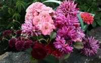 Bouquet de fleurs roses vives avec des chrysanthèmes, des dahlias et des roses de jardin