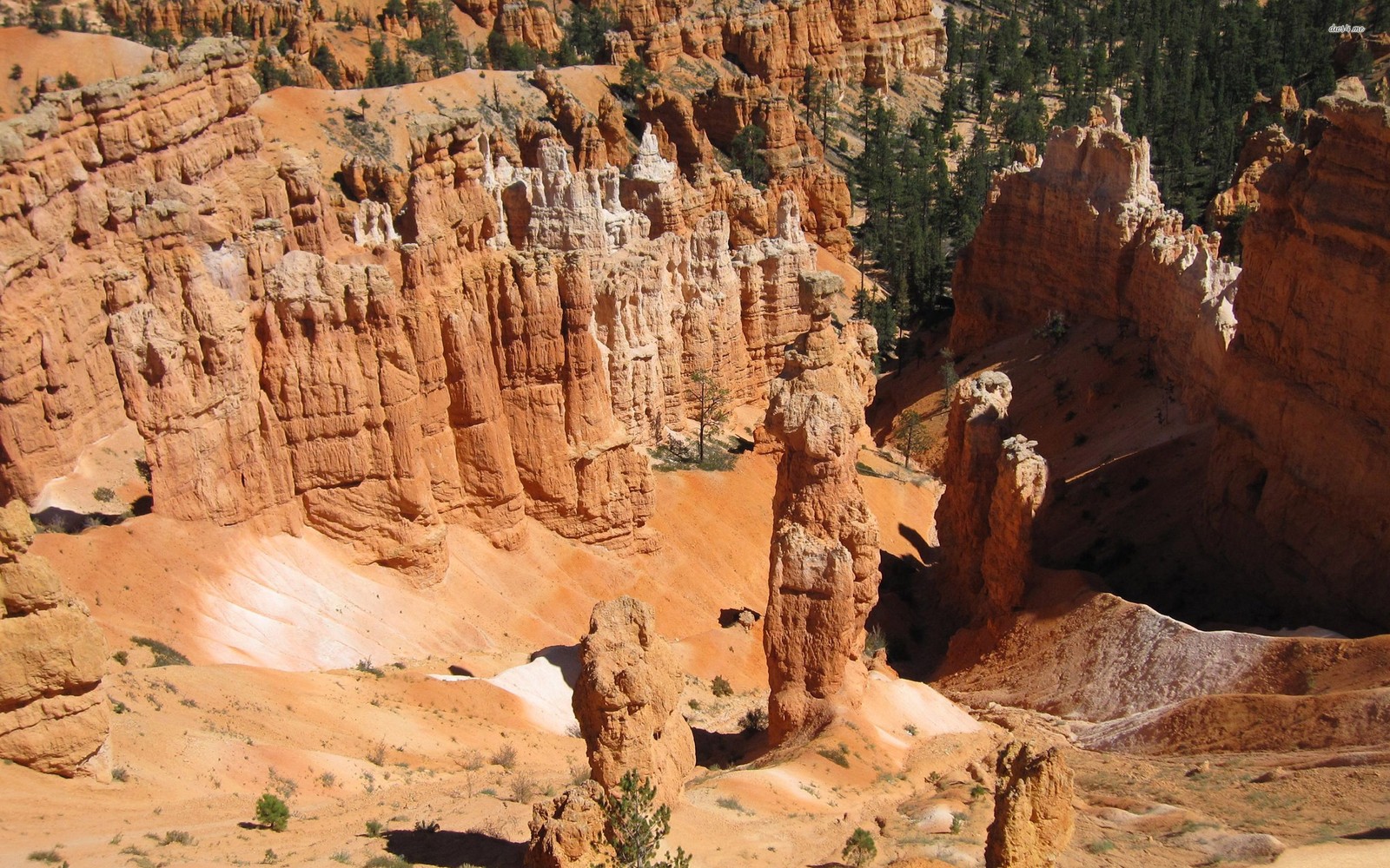 bryce canyon national park, national park, formation, rock, canyon wallpaper